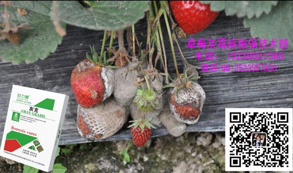 搜了网为您找到1条江苏龙灯的相关产品参数信息