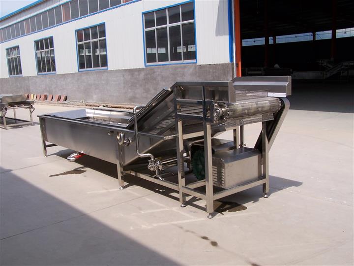 白萝卜毛辊清洗机