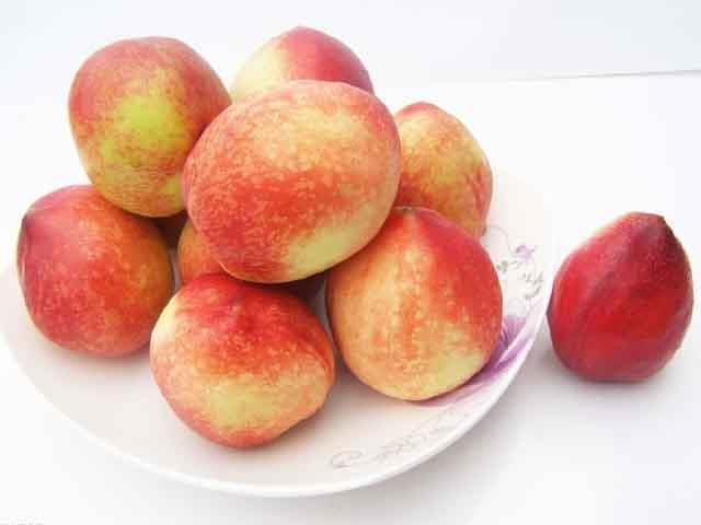 陕西大荔油桃批发价格