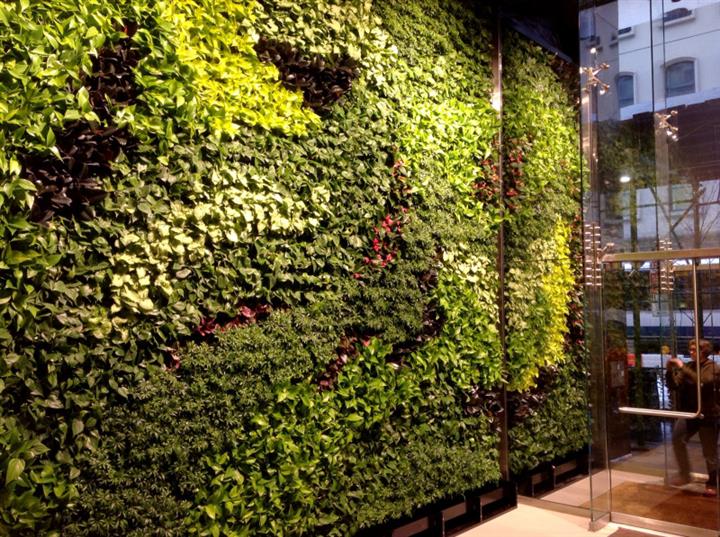 苏州室外植物墙苏州室外植物墙公司盛誉绿化值得信赖