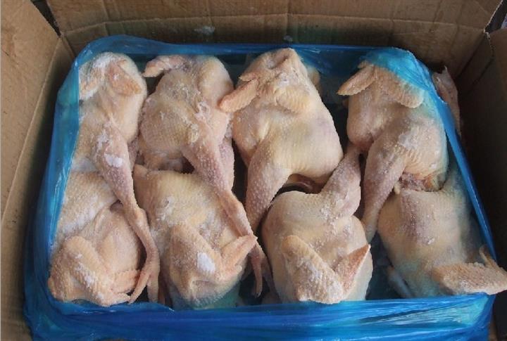 搜了网为您找到210条冷冻三黄鸡的相关产品参数信息